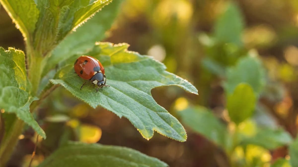 Spring Garden Pest Prevention: Slugs, Aphids, and Cutworms (No Panic Needed) hero image
