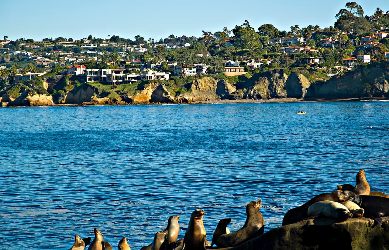 San Diego, CA planting calendar hero image