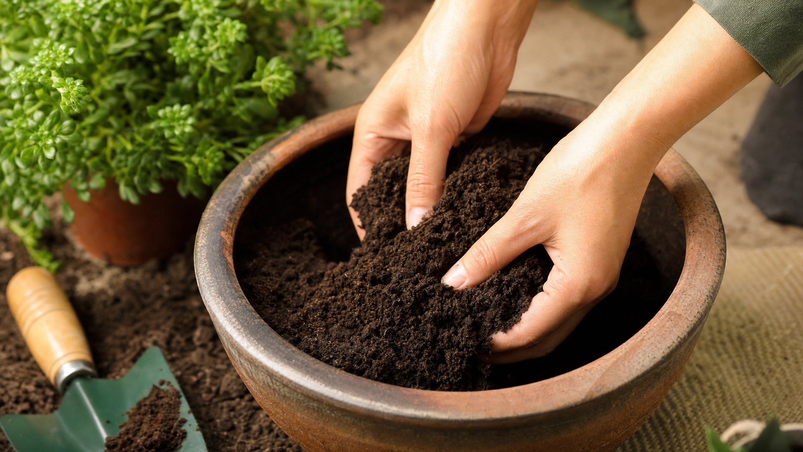 Filling a garden pot with rich potting soil